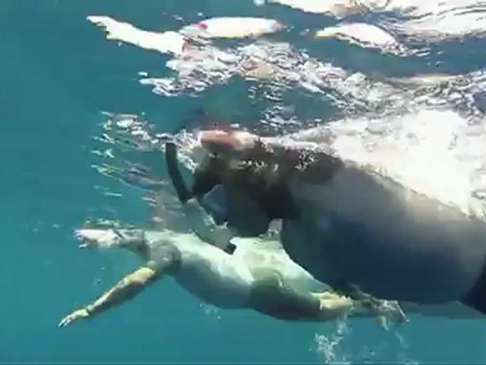 Philippe Croizon, le nageur français ampué qui a traversé la mer Rouge