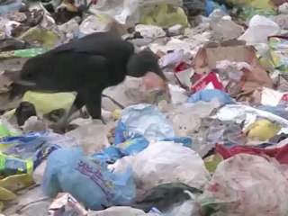 Rio de Janeiro ferme la plus grande décharge d'Amérique du Sud