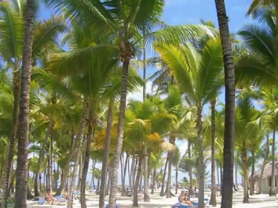 RIU Resort Punta Cana Riu Palace Bavaro Riu Palace Punta Cana Riu Naiboa Riu Club Bambu