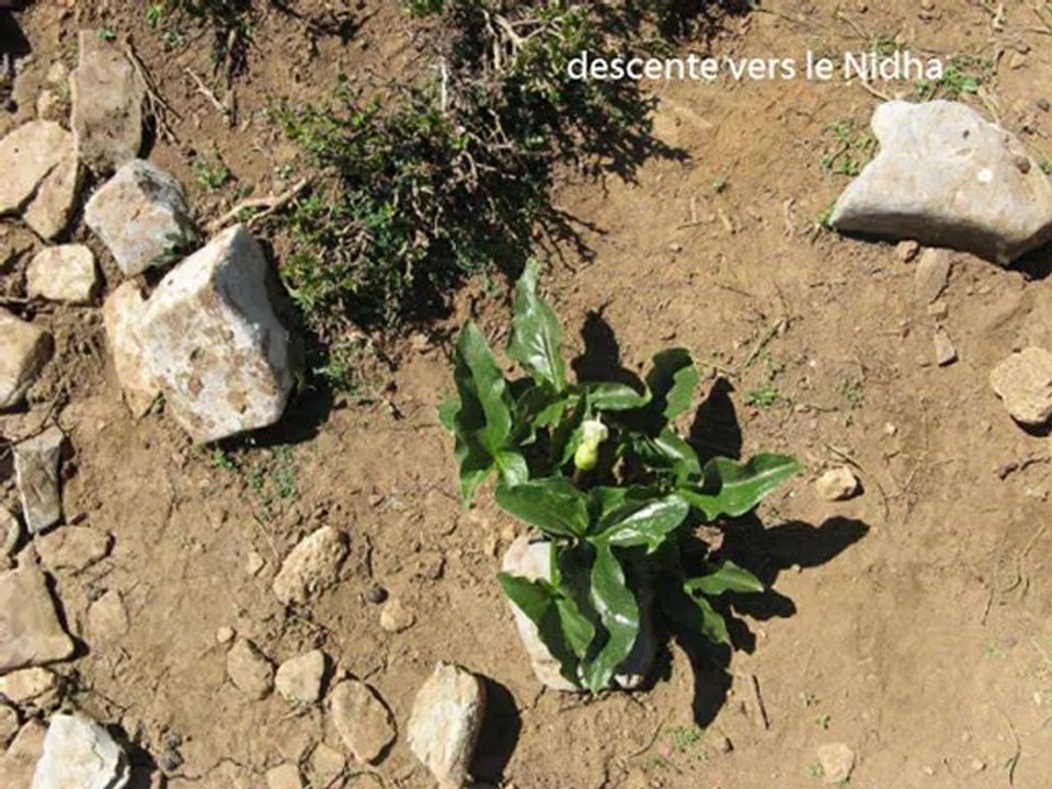 Psiloritis d'ouest en est