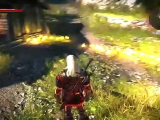[S6][P5] The Witcher 2