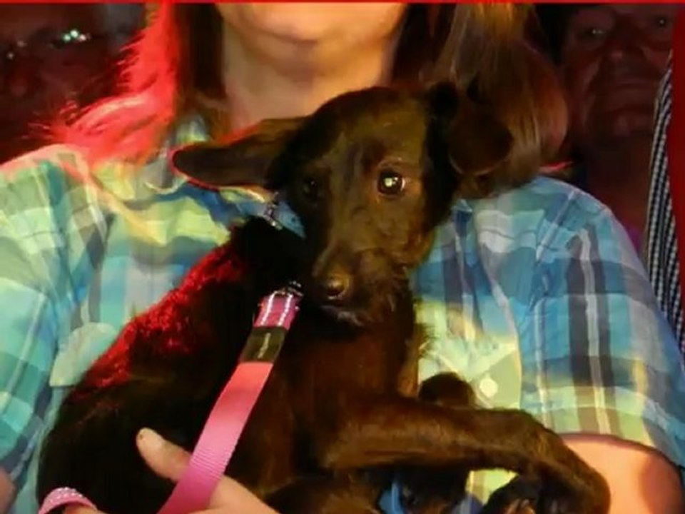 Klaus Densow und die Fellas Schlagerreise 2012 Hubert und Matthias