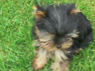 HILTON 2 juillet 2012