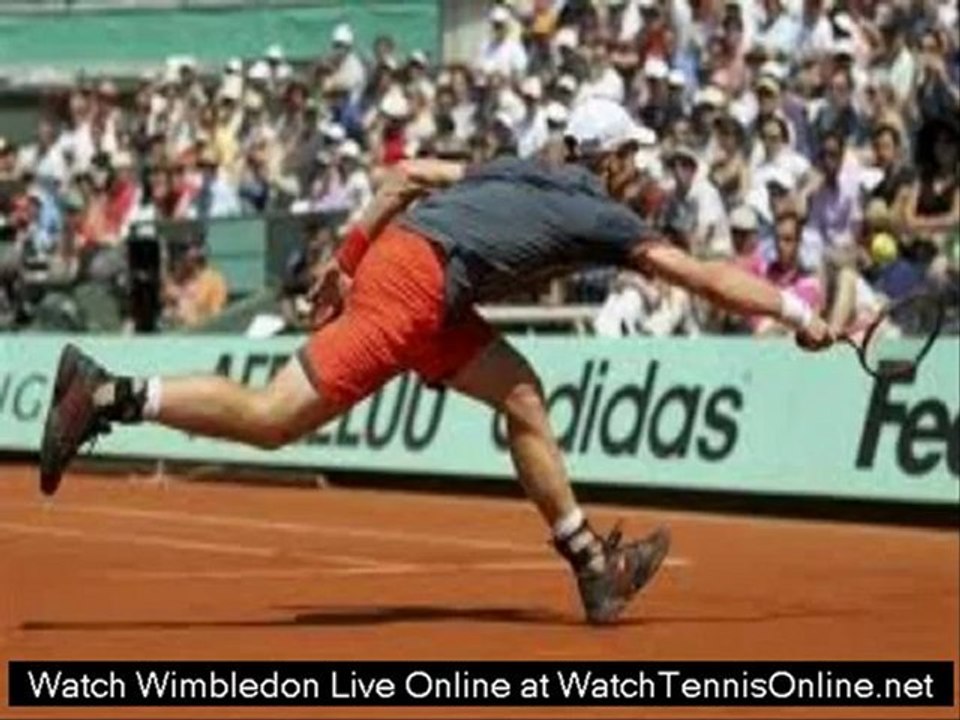 watch wimbledon final 2012 online