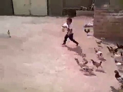 Enfant traumatisé par des poules