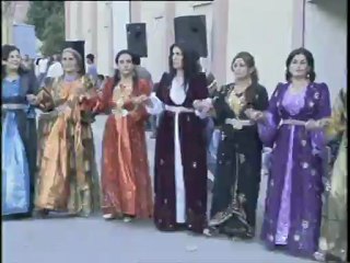 Hakkari'ye avukat gelin