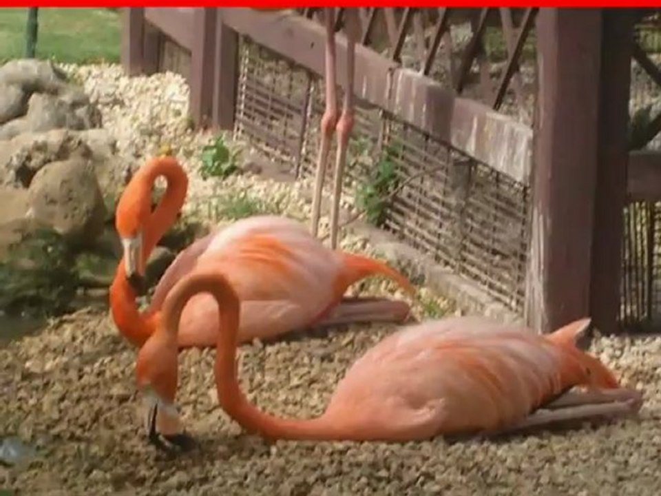 Dreams La Romana Resort & Spa Bayahibe Dom. Republik Süden Santo Domingo1