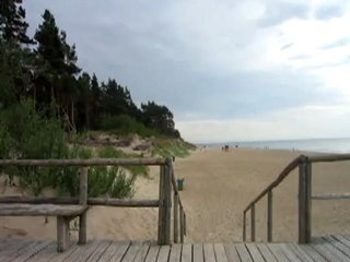 Palanga: seashore