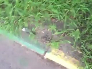 Loira dá lição de civismo a uma "dondoca"