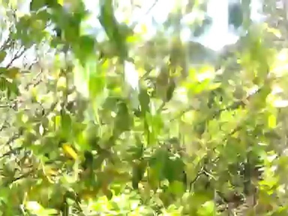 Raid VTT Caunes Minervois-1