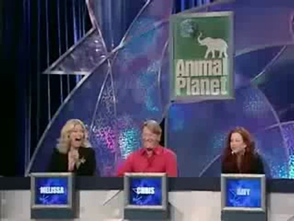 Kongo Graupapagei  Einstein Sprechender Papagei (2).mp4