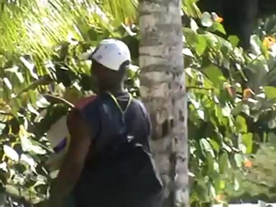 Jameika RIU Palace Tropical Bay Reaggy Strandsänger Wassersport Strand Meer