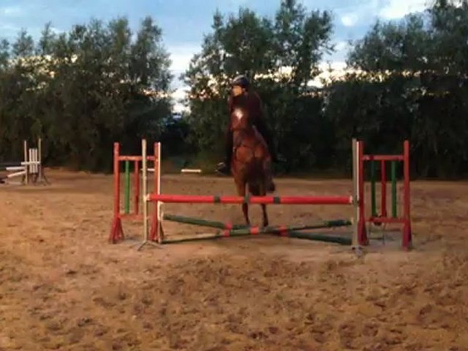 Concours nocturne 80 cm