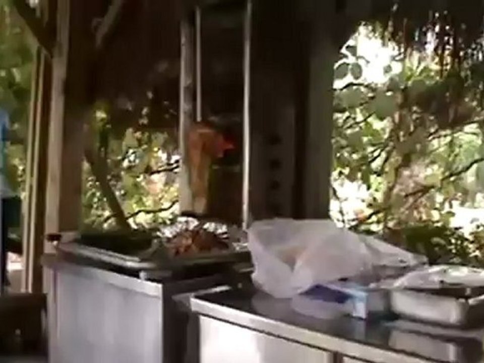 Tuerkei Hotel Terrace Beach Resort Kumkoey Pool Dönerladen Side Hubert Fella Bilder Film