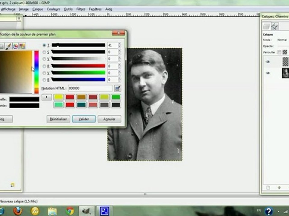 GIMP bichromie