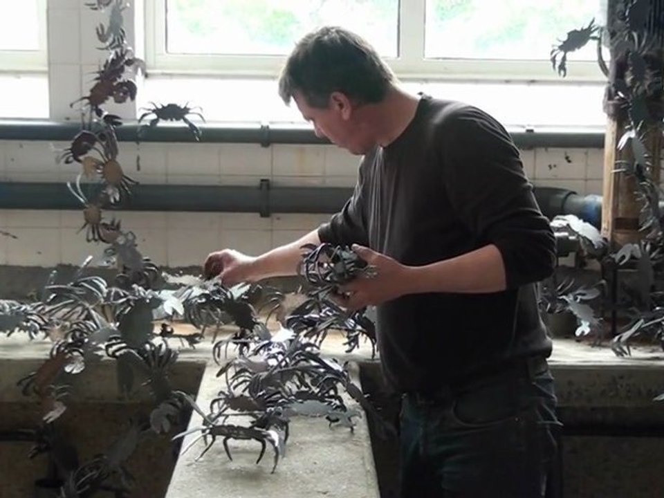 Exposition. Le 4è volet du projet « autour de la baie » s'arrête à Plougasnou