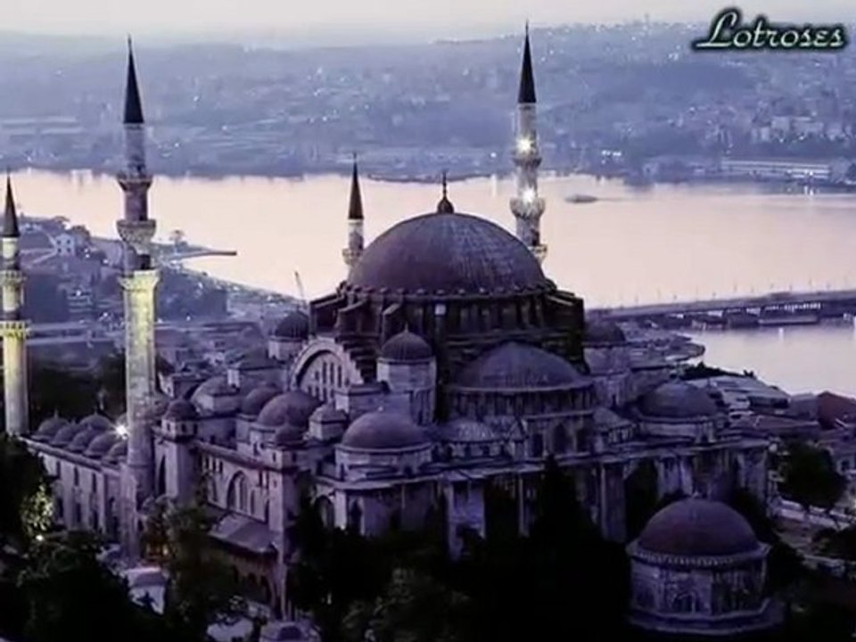 Son Kuşlar- Yansımalar