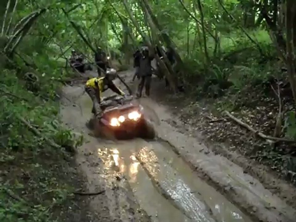 rando rico