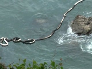 Vertido fuel Cabo de San Antonio en Candás
