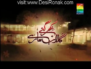 NikhaGulab Sare Episode 28 - 2nd July 2012 part 2 High Quality