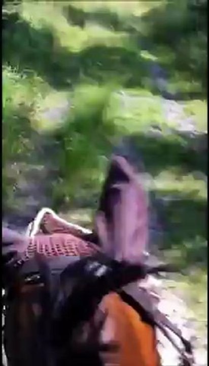 Balade - Fbleau - Einstein