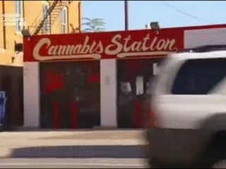 American Weed - La Guerre de L'herbe