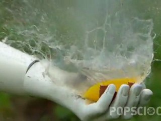 Ultra Slow Motion Fireworks Explosion