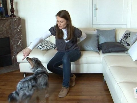 Tuto Dressage: chien tourne sur lui-même