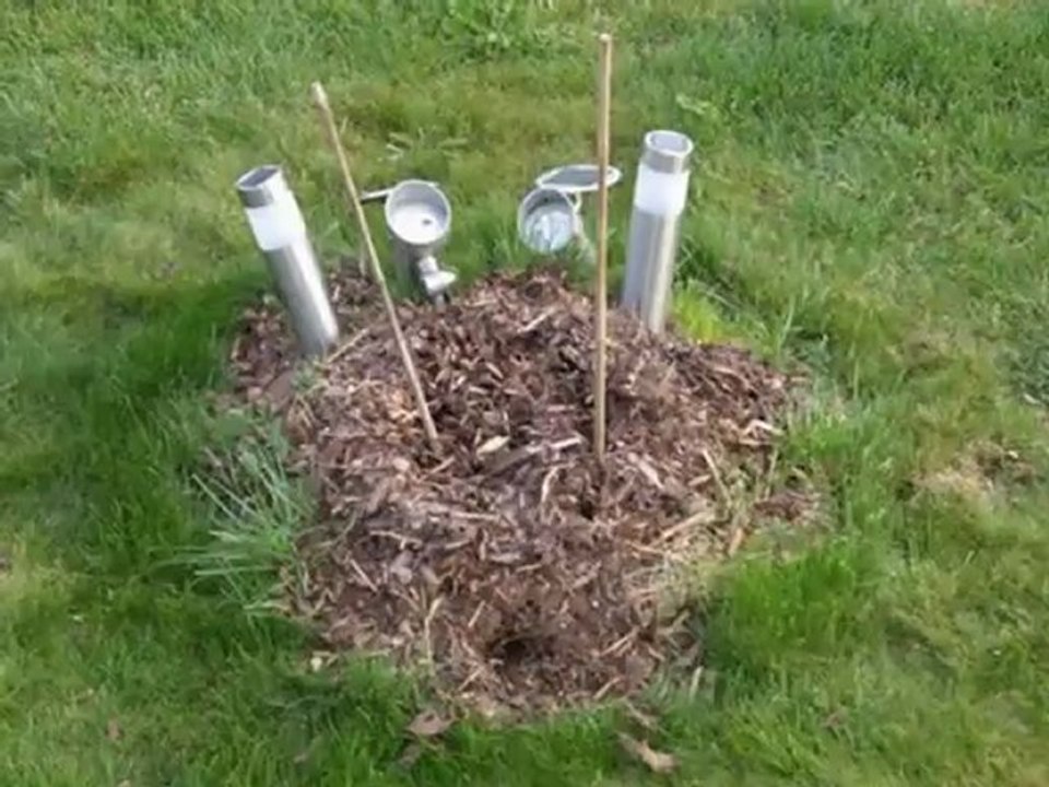 Matthias Mangiapnae bilder für Mein Garten auf RTL Bewerbung