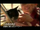 にゃんこTheMovie2 ナレーション録り現場 小西真奈美【HD】