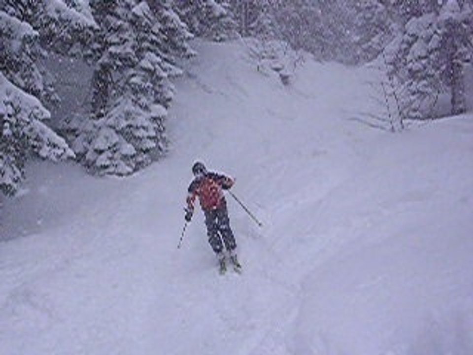session freeride