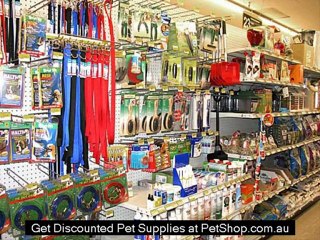 frontline plus for dogs