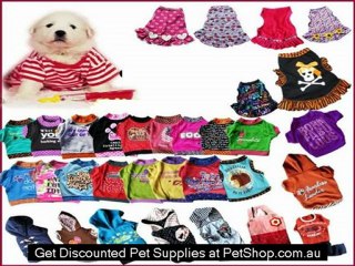 frontline plus for cats