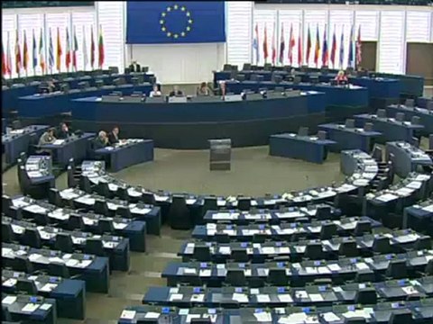 Marit Paulsen on Strategy for the protection and welfare of animals