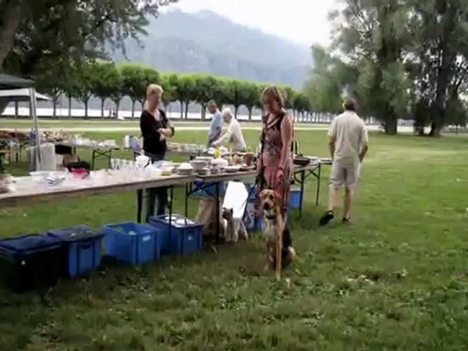 Brocante des amis des bêtes Aix les Bains
