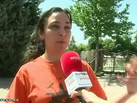 10 años de campamentos de verano en Faunia