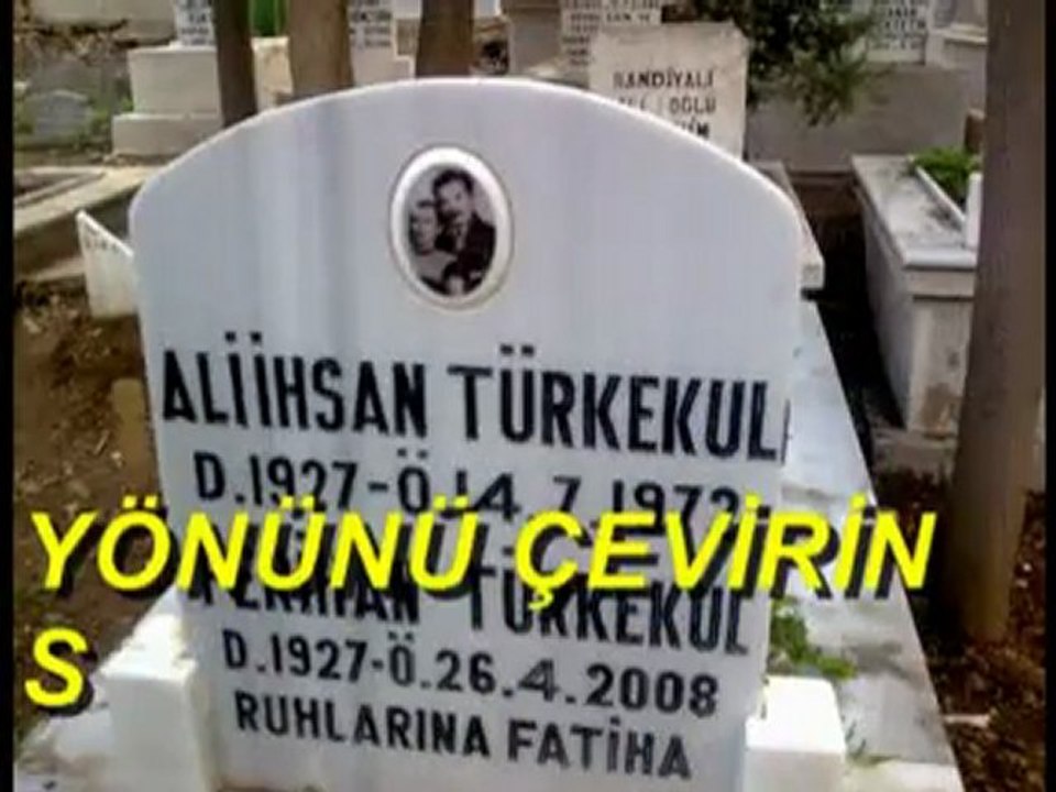 HASTANE ÖNÜNDE İNCİR AĞACI