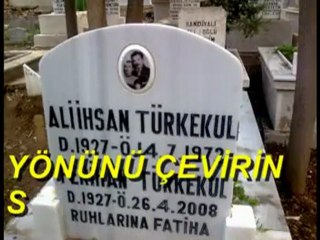 HASTANE ÖNÜNDE İNCİR AĞACI