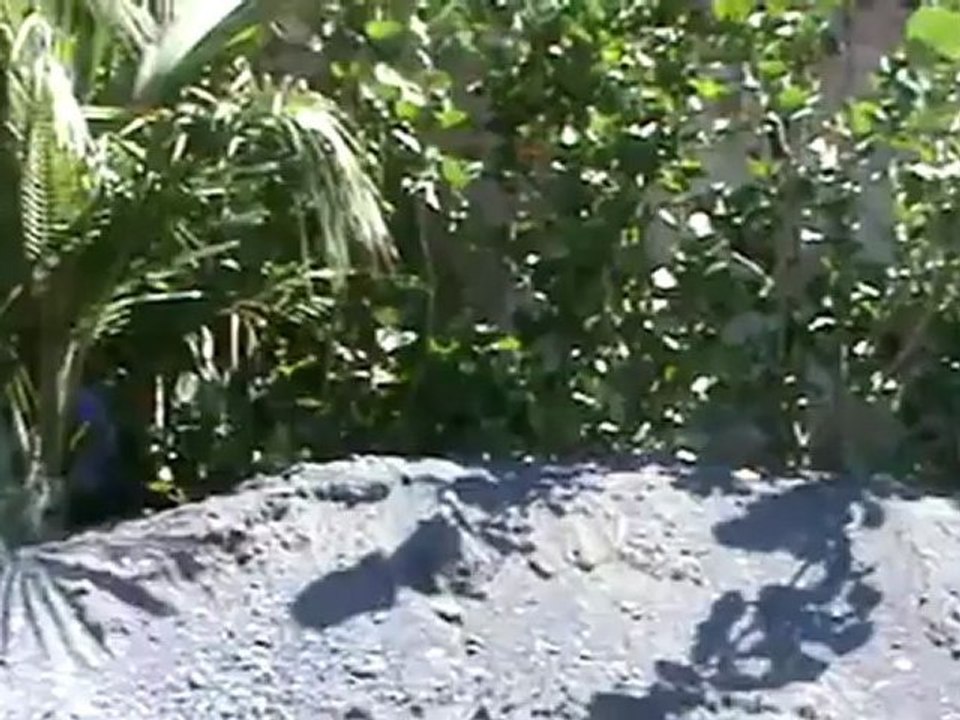 Clubhotel Riu Buena Vista Strand Palmen Teneriffa Riuhotel Hubert Fella Matthias Mangiapane