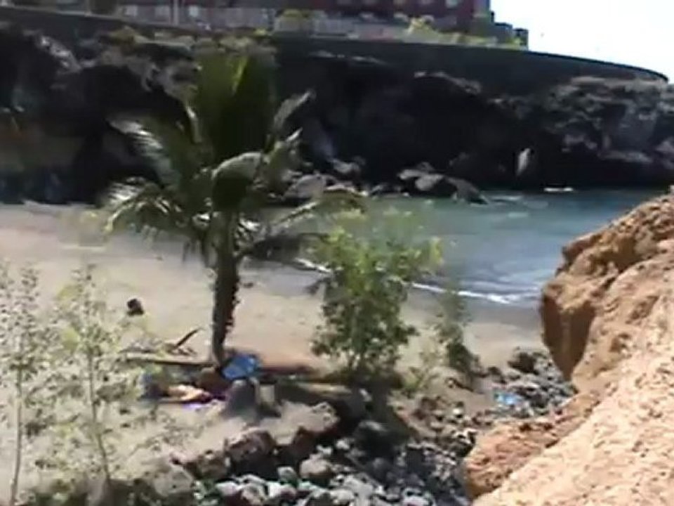 Clubhotel Riu Buena Vista Strand Palmenstrand Teneriffa Riuhotel Hubert Fella Matthias Mangiapane