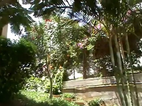 Riu Garoe Hotel Minigolf Puerto de la Cruz Teneriffa Bilder Fotos