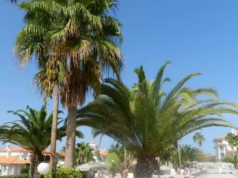 Riu Arecas Playa Del Duque Costa Adeje Teneriffa Bilder Fotos