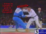 Le Yoko Tomoe Nage de Frédéric DEMONTFAUCON