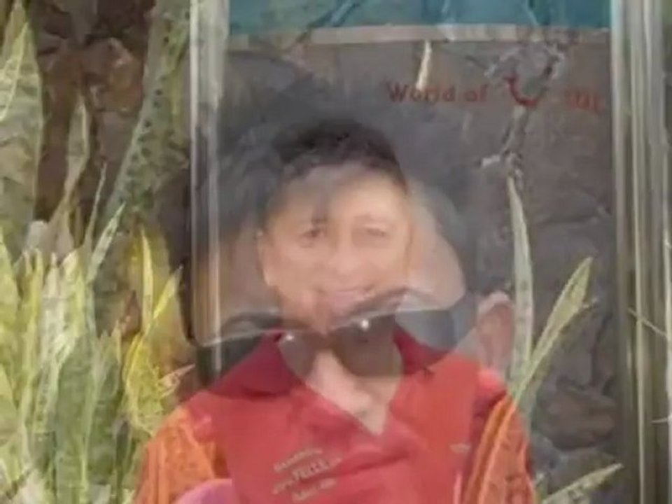 Riu Flamingo Playa del Ingles, Gran Canaria Fotos