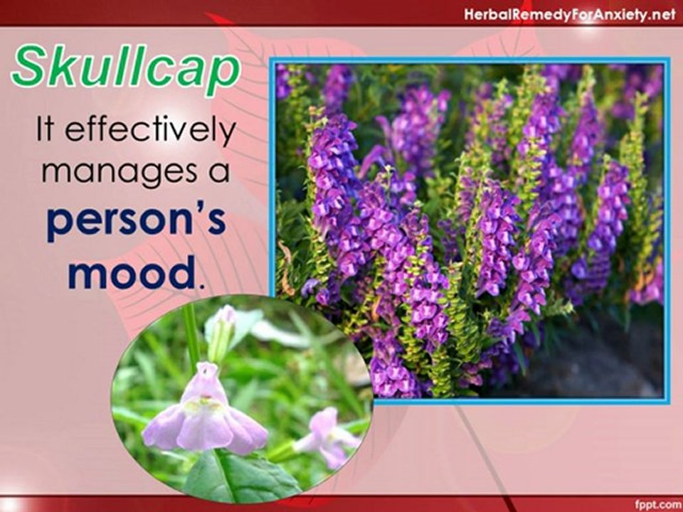 The Best Herbal Remedy Against Depression