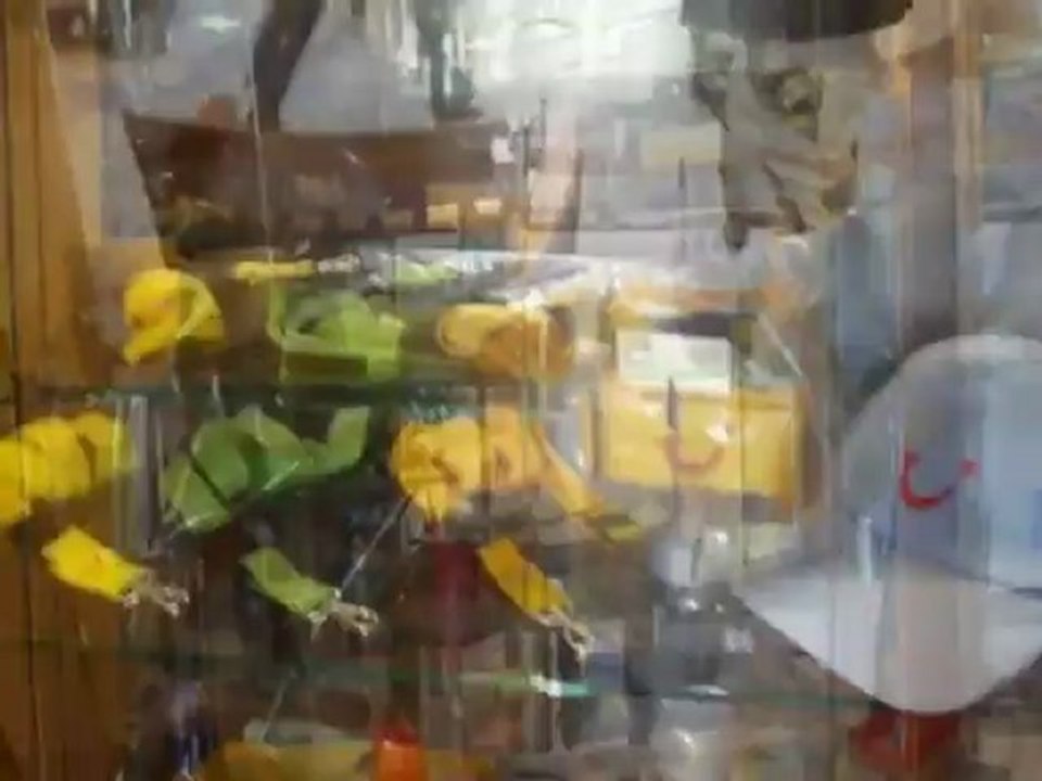 Flusskreuzfahrt TUI Maxima TUI Flusskreuzfahrten Donau Video www.Kreuzfahrt4you.de