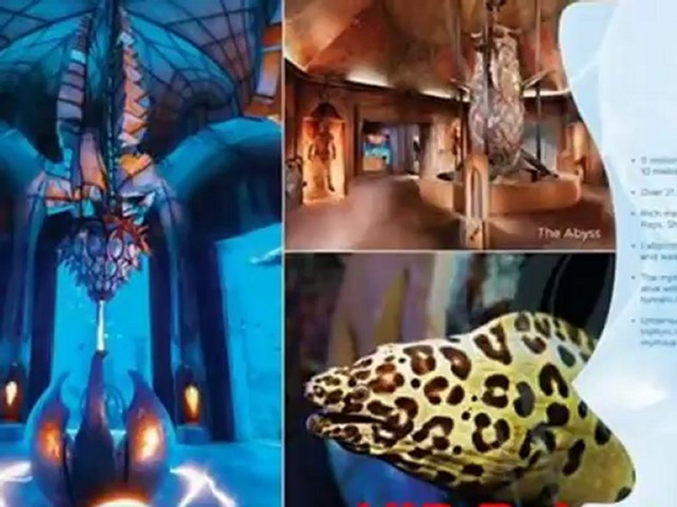 Dubai Atlantis Hotel 5 Sterne The Palm auf der Palme www.VIP-Reisen.de