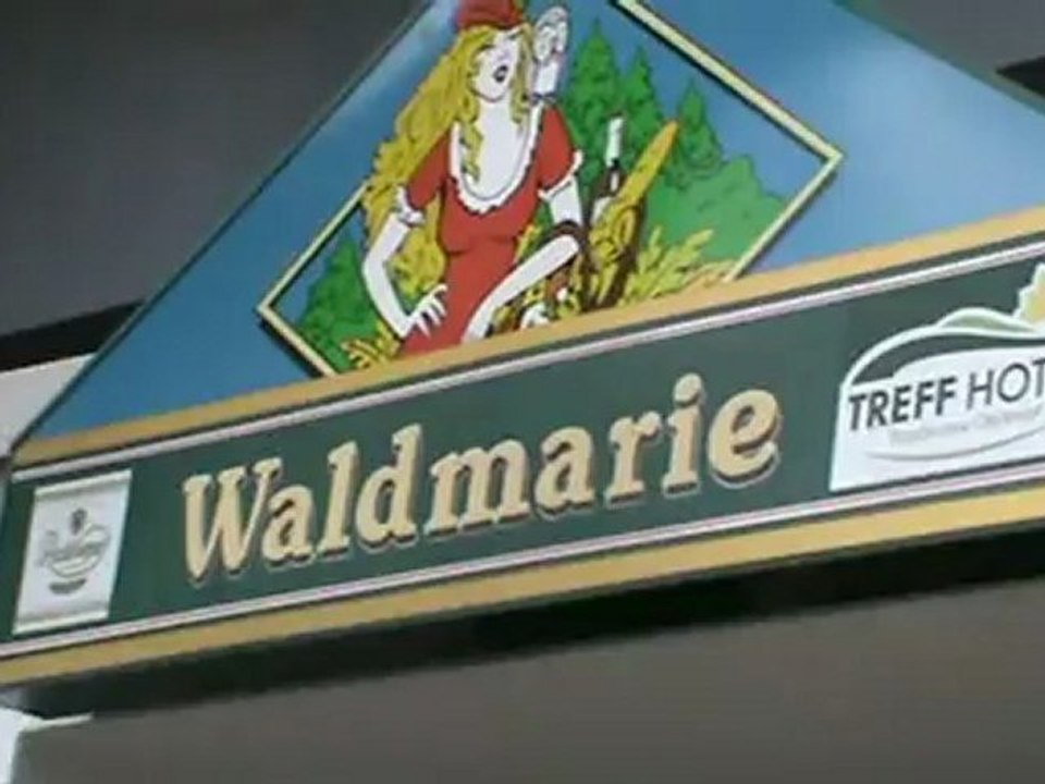 TREFF Hotel Panorama Oberhof Bilder Partyhotel Waldmarie Disco Skihotel