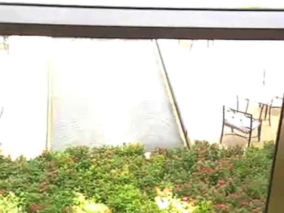 Ras Al Khaimah Hilton Beach Resort und Spa Pool Strand Luxushotel Strandhotel