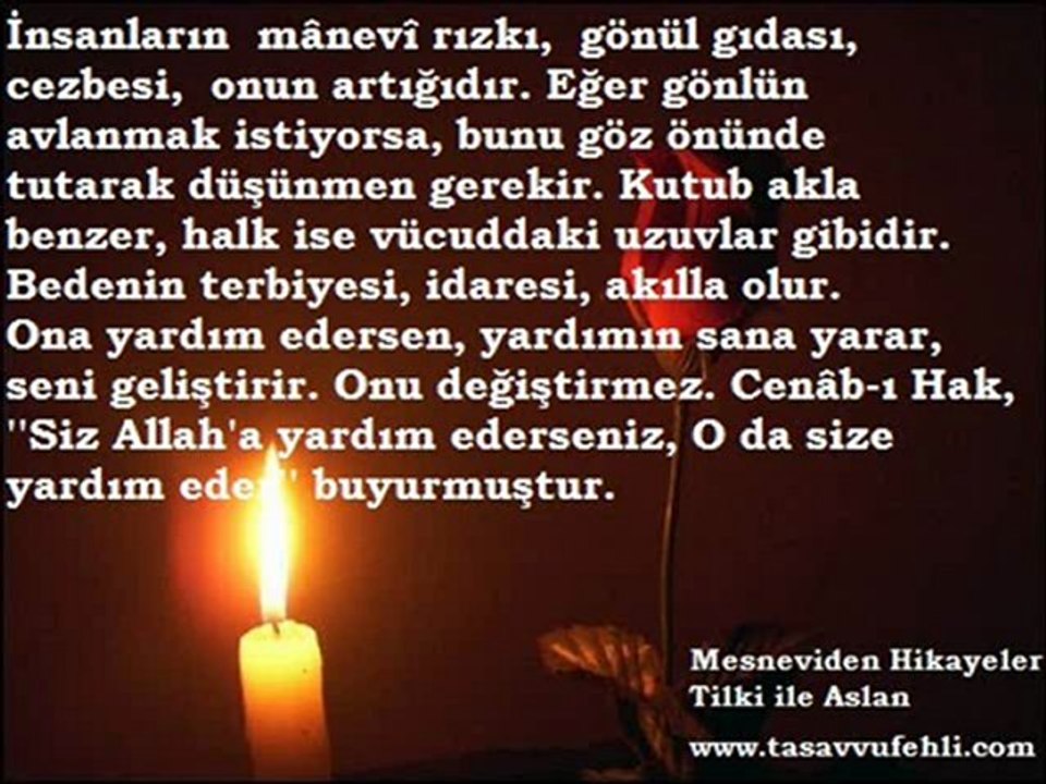 Mesneviden Hikayeler | www.TasavvufEhli.com